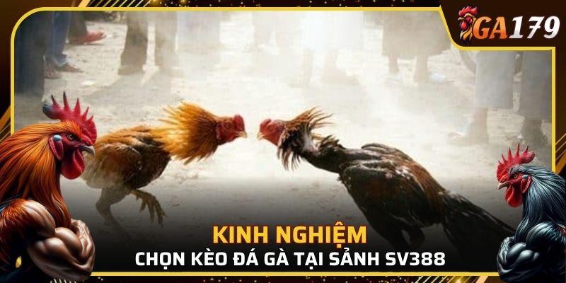 Việc đánh giá chưa bao giờ là thừa