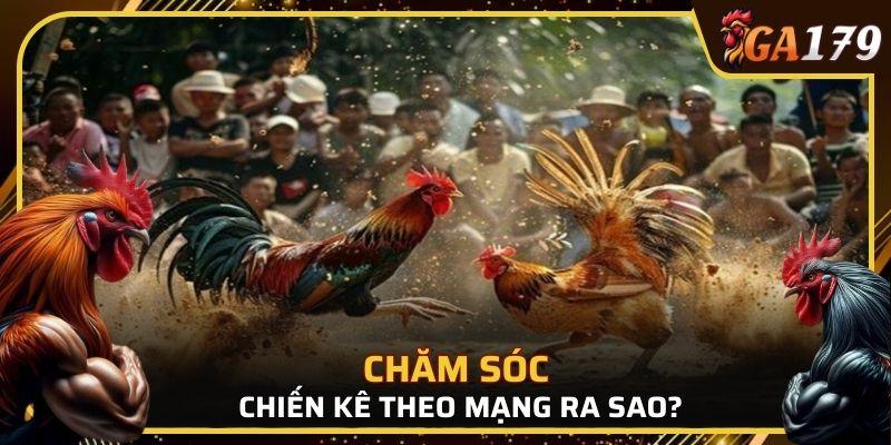 Sư kê cần điều chỉnh chế độ ăn uống và rèn luyện