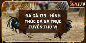 đá gà 179
