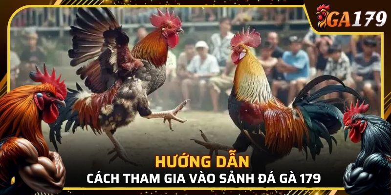 Các bước để tham gia sảnh đá gà 179