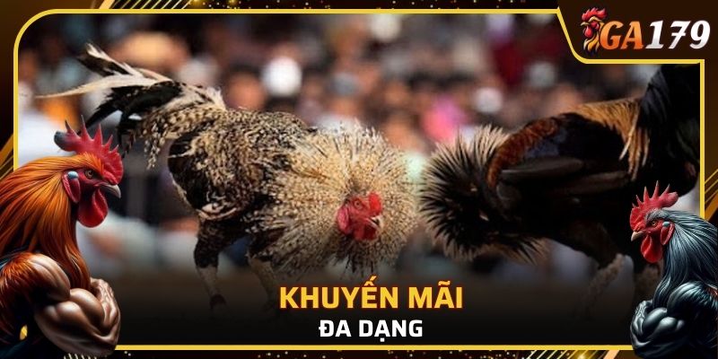 Thường xuyên có khuyến mãi