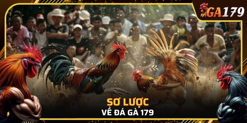 Tổng quan về đá gà 179
