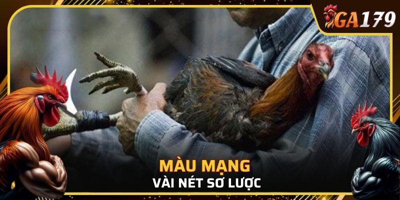 Đây là sự kết hợp hoàn hảo giữa màu lông với yếu tố phong thủy