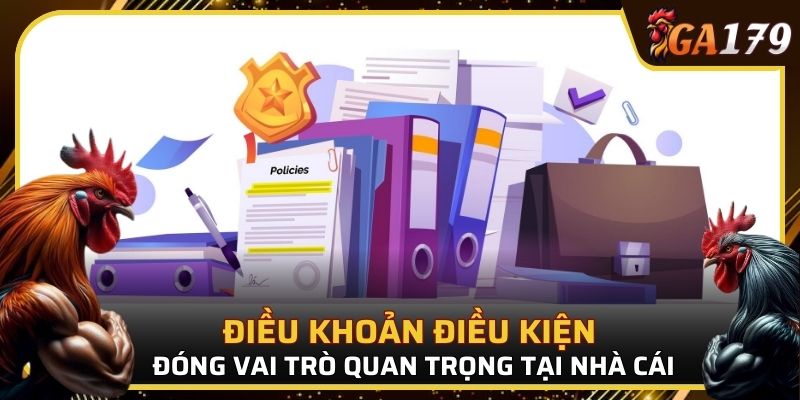 Điều khoản điều kiện đóng vai trò quan trọng tại nhà cái