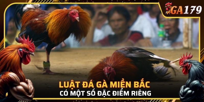 Luật đá gà miền Bắc có một số đặc điểm riêng
