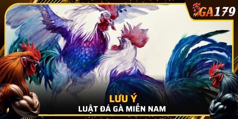 Lưu ý trong luật đá gà miền Nam