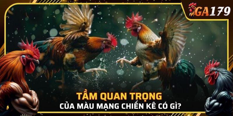 Màu không chỉ đơn thuần là đặc điểm nhận diện
