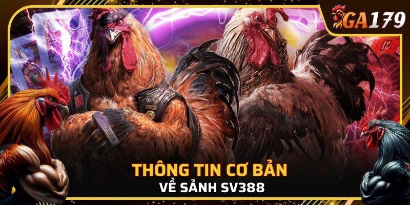 Mỗi ngày sảnh đều tổ chức đi kèm việc phát sóng trực tiếp