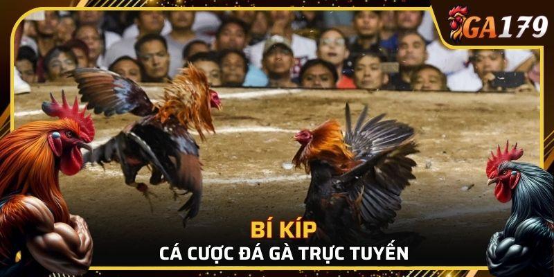 Người chơi cần có chiến thuật hợp lý, hiểu rõ luật