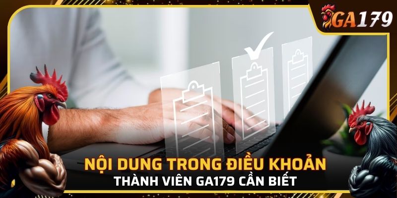 Nội dung chính trong điều khoản thành viên cần biết