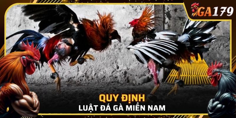 Quy định trong luật đá gà miền Nam tại GA179