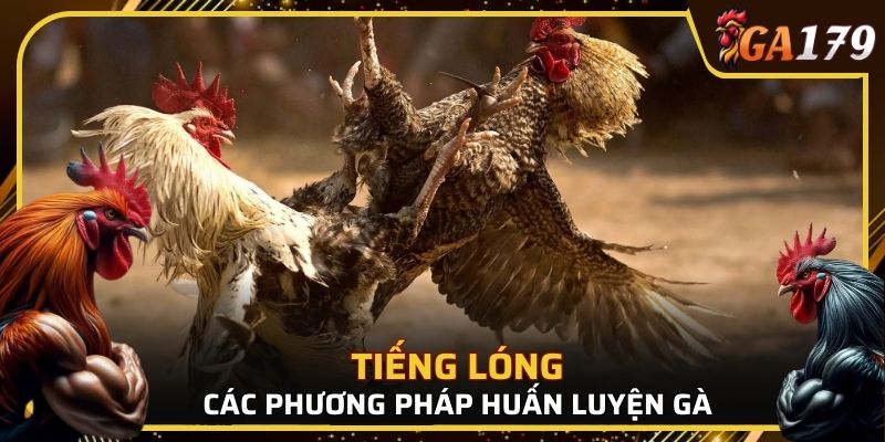 Tiếng lóng của các phương pháp huấn luyện gà