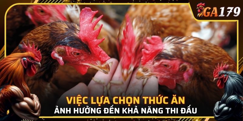 Việc lựa chọn thức ăn phù hợp ảnh hưởng trực tiếp đến sức khỏe và khả năng thi đấu